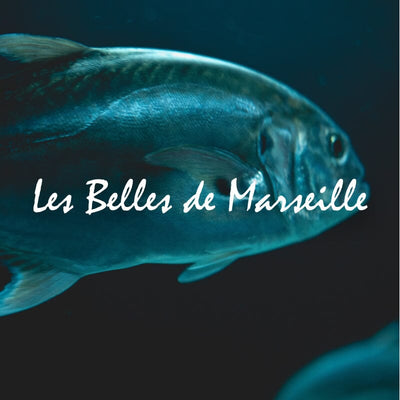 Ferrigno - Les Belles de Marseille